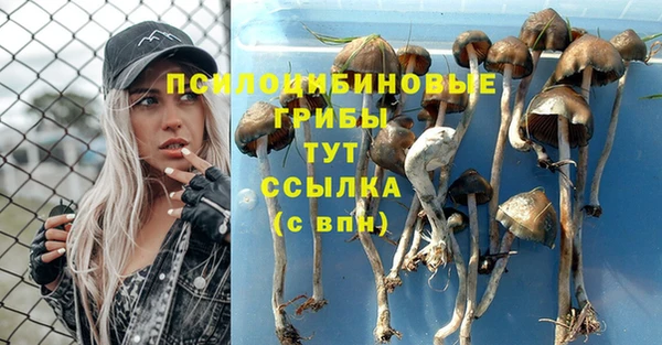 MDMA Premium VHQ Арсеньев