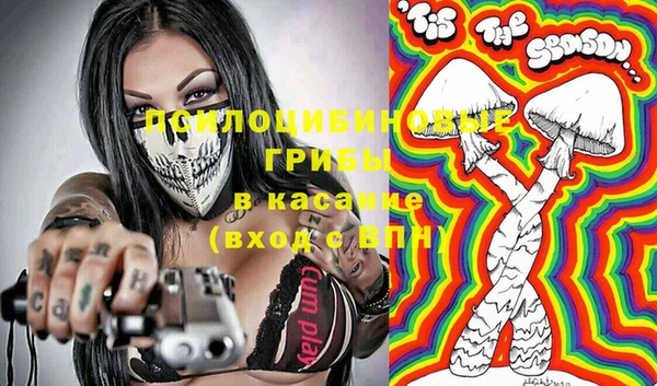 бошки Армянск