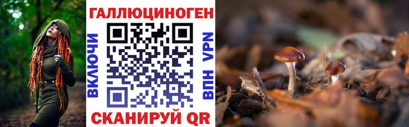 Галлюциногенные грибы MAGIC MUSHROOMS  наркошоп  мориарти Telegram  Няндома 